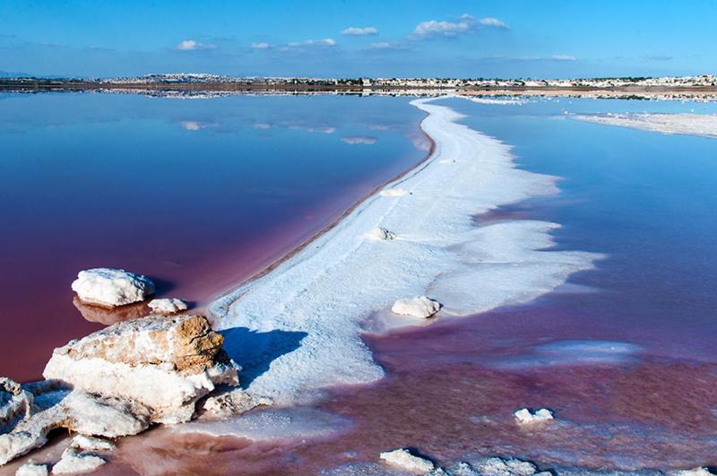 Torrevieja Experience San Julian Daire Dış mekan fotoğraf