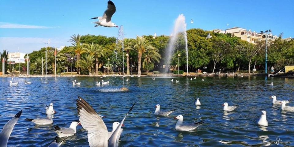 Torrevieja Experience San Julian Daire Dış mekan fotoğraf